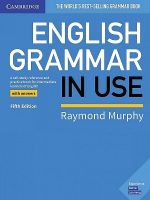 English Grammar In Use